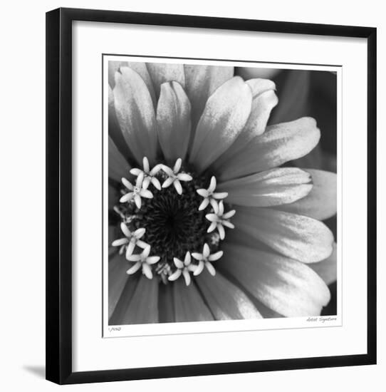 Botanical Study 3-Stacy Bass-Framed Giclee Print