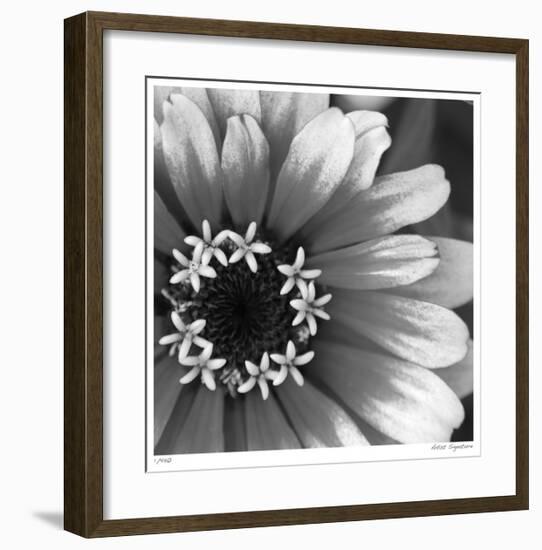 Botanical Study 3-Stacy Bass-Framed Giclee Print