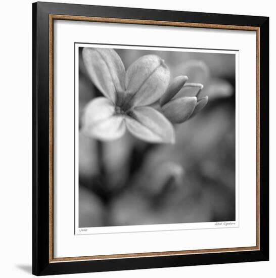 Botanical Study 4-Stacy Bass-Framed Giclee Print