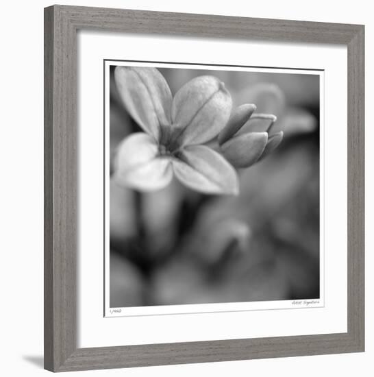 Botanical Study 4-Stacy Bass-Framed Giclee Print