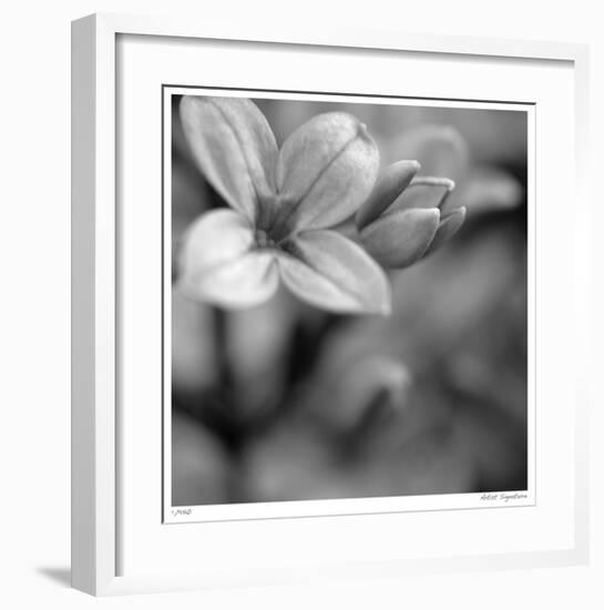 Botanical Study 4-Stacy Bass-Framed Giclee Print