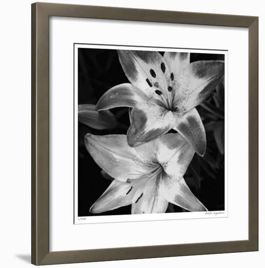 Botanical Study 5-Stacy Bass-Framed Giclee Print