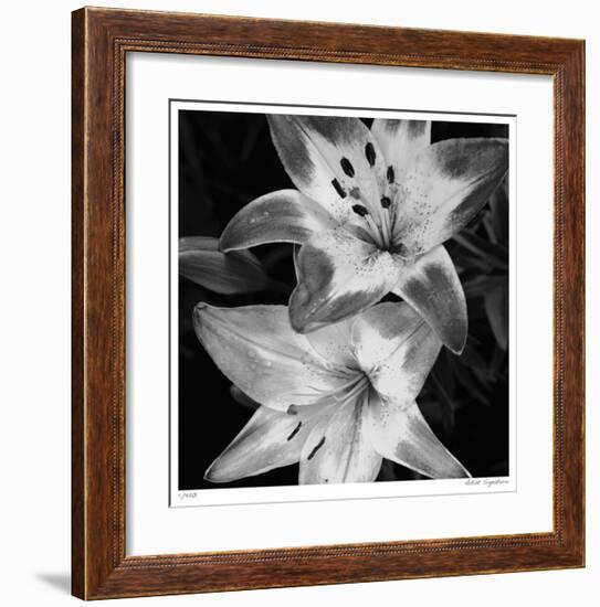 Botanical Study 5-Stacy Bass-Framed Giclee Print