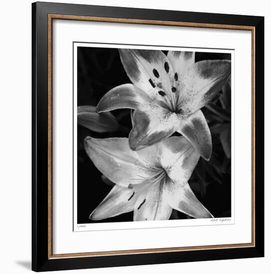 Botanical Study 5-Stacy Bass-Framed Giclee Print