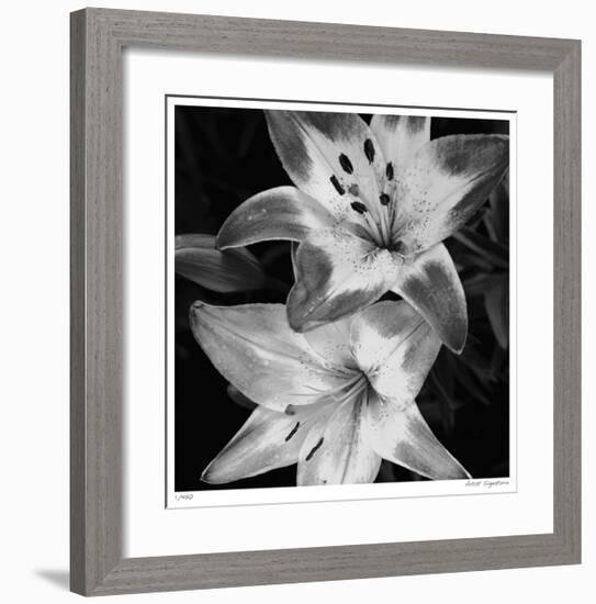 Botanical Study 5-Stacy Bass-Framed Giclee Print