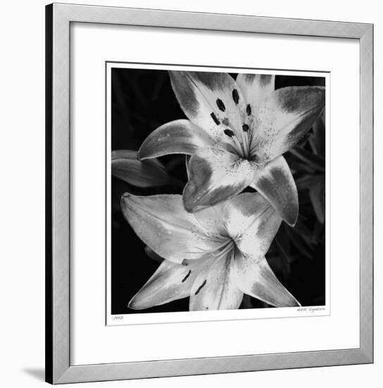 Botanical Study 5-Stacy Bass-Framed Giclee Print