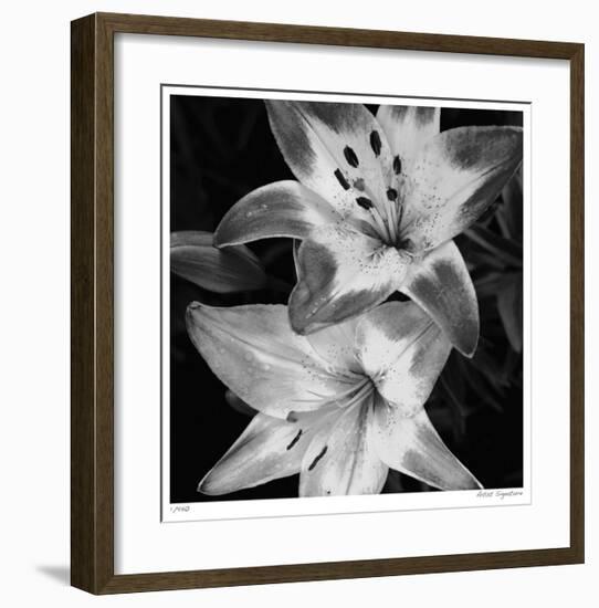 Botanical Study 5-Stacy Bass-Framed Giclee Print