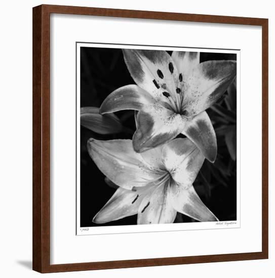 Botanical Study 5-Stacy Bass-Framed Giclee Print