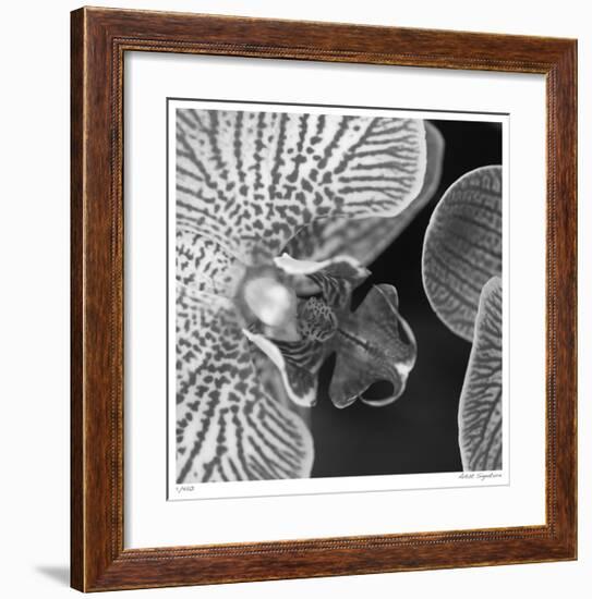Botanical Study 6-Stacy Bass-Framed Giclee Print