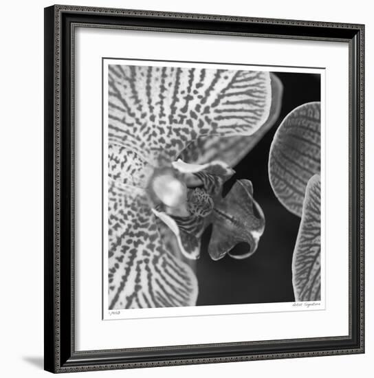 Botanical Study 6-Stacy Bass-Framed Giclee Print