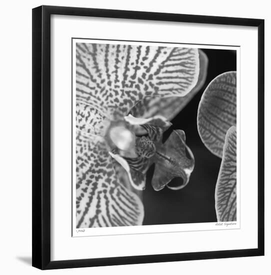 Botanical Study 6-Stacy Bass-Framed Giclee Print