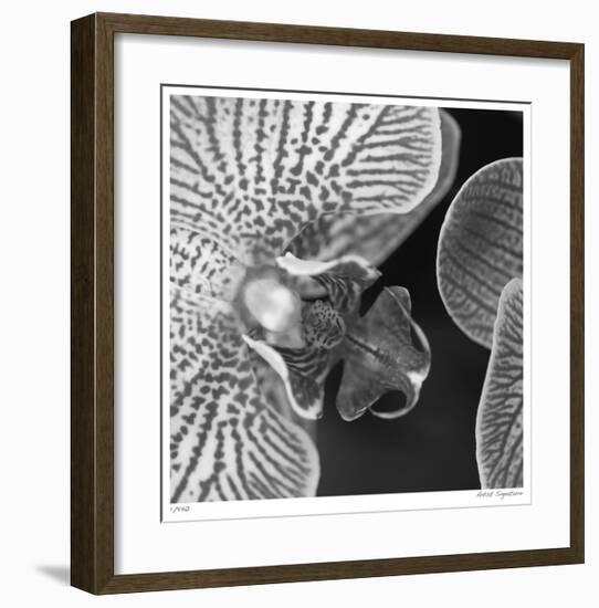 Botanical Study 6-Stacy Bass-Framed Giclee Print