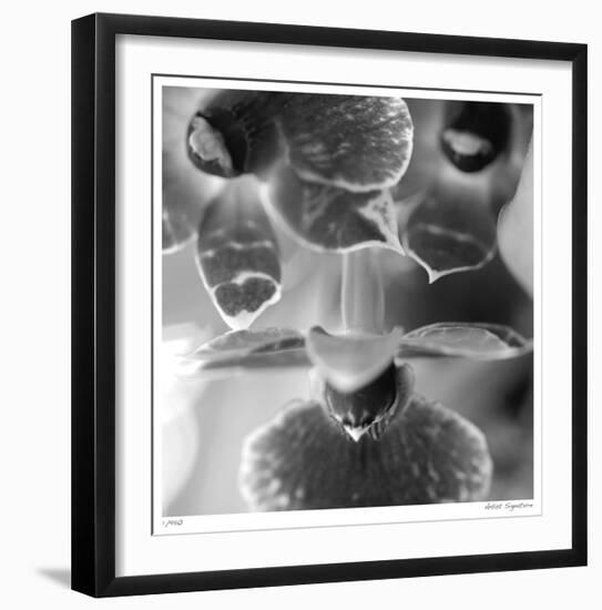 Botanical Study 7-Stacy Bass-Framed Giclee Print