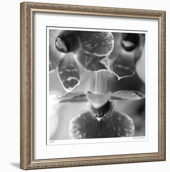 Botanical Study 7-Stacy Bass-Framed Giclee Print