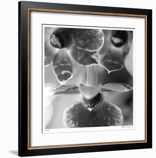 Botanical Study 7-Stacy Bass-Framed Giclee Print