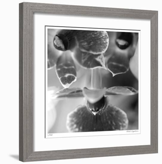 Botanical Study 7-Stacy Bass-Framed Giclee Print