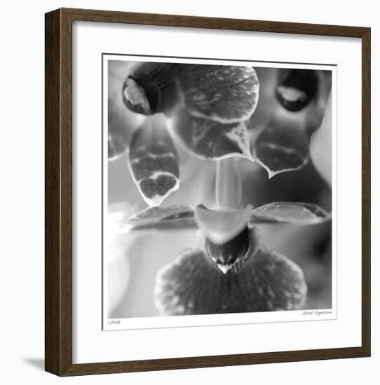 Botanical Study 7-Stacy Bass-Framed Giclee Print