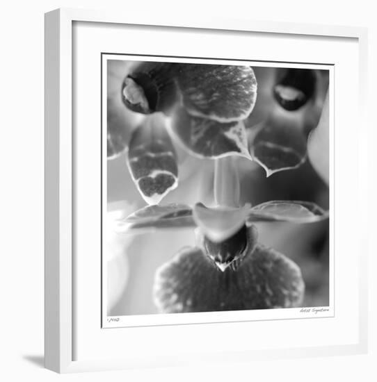 Botanical Study 7-Stacy Bass-Framed Giclee Print