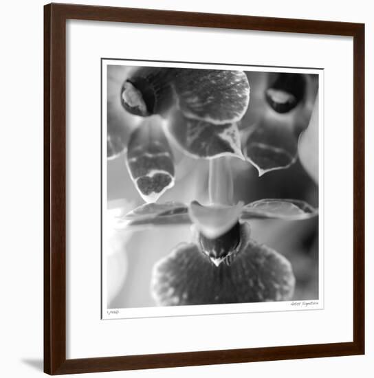 Botanical Study 7-Stacy Bass-Framed Giclee Print