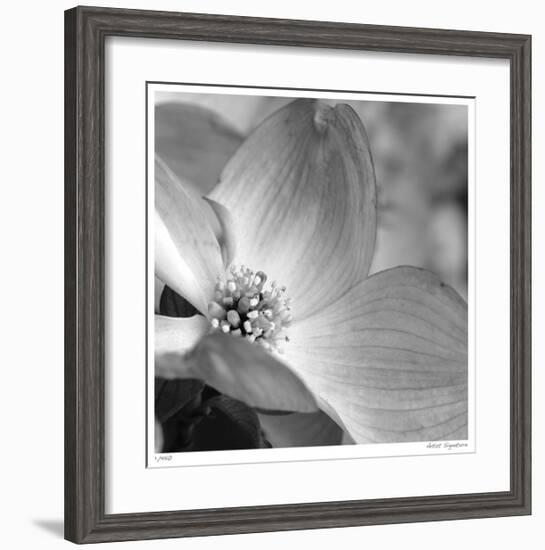 Botanical Study 9-Stacy Bass-Framed Giclee Print