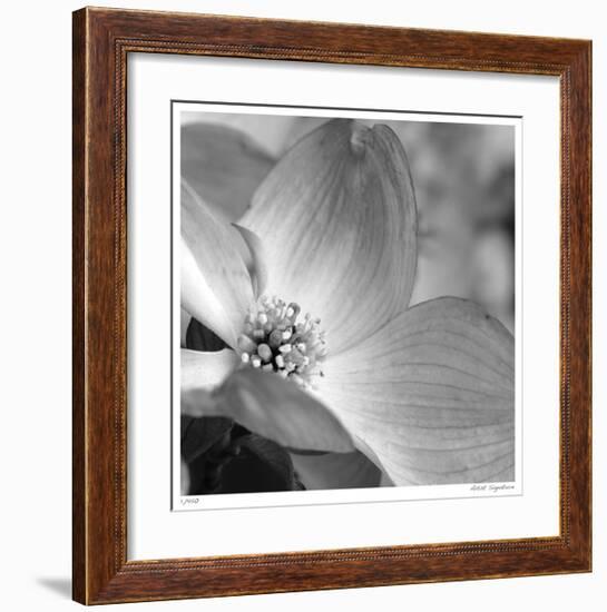 Botanical Study 9-Stacy Bass-Framed Giclee Print