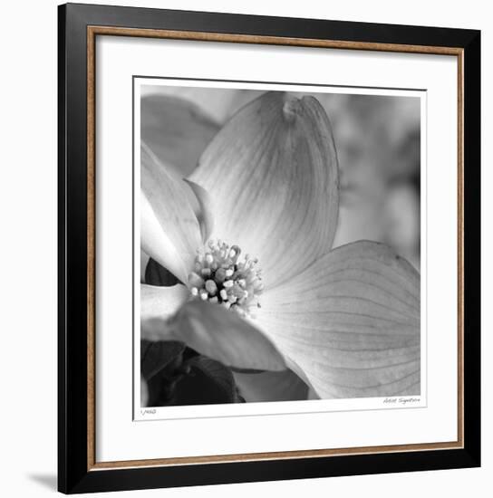 Botanical Study 9-Stacy Bass-Framed Giclee Print