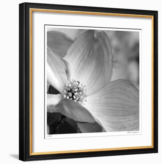 Botanical Study 9-Stacy Bass-Framed Giclee Print