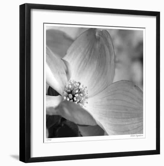 Botanical Study 9-Stacy Bass-Framed Giclee Print