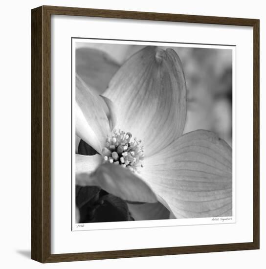 Botanical Study 9-Stacy Bass-Framed Giclee Print