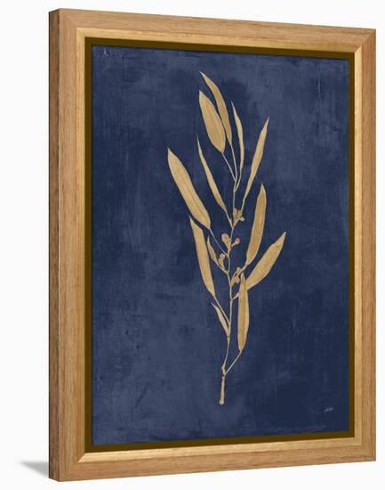 Botanical Study I Gold Navy-Julia Purinton-Framed Stretched Canvas