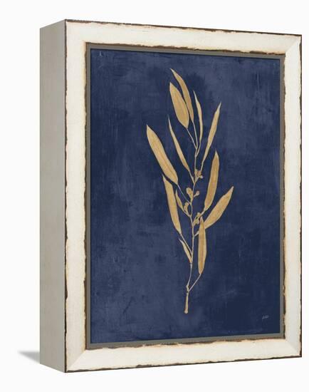 Botanical Study I Gold Navy-Julia Purinton-Framed Stretched Canvas