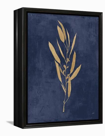 Botanical Study I Gold Navy-Julia Purinton-Framed Stretched Canvas