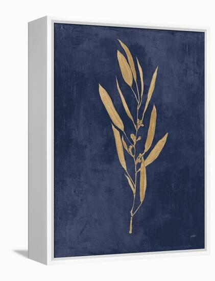 Botanical Study I Gold Navy-Julia Purinton-Framed Stretched Canvas