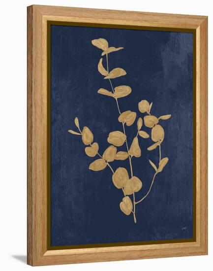 Botanical Study II Gold Navy-Julia Purinton-Framed Stretched Canvas