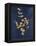 Botanical Study II Gold Navy-Julia Purinton-Framed Stretched Canvas