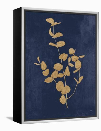 Botanical Study II Gold Navy-Julia Purinton-Framed Stretched Canvas