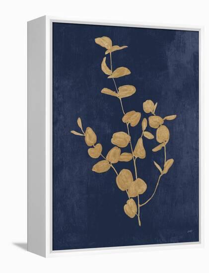 Botanical Study II Gold Navy-Julia Purinton-Framed Stretched Canvas