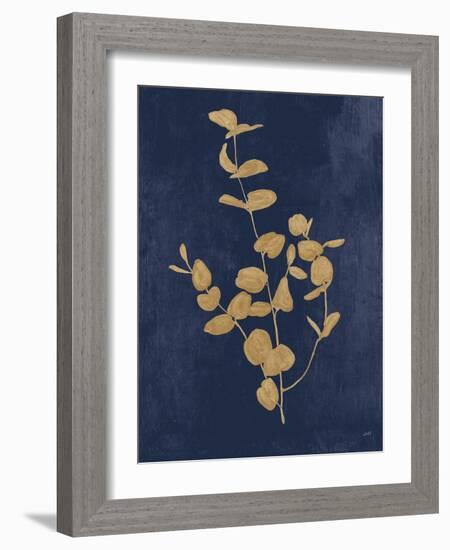 Botanical Study II Gold Navy-Julia Purinton-Framed Art Print