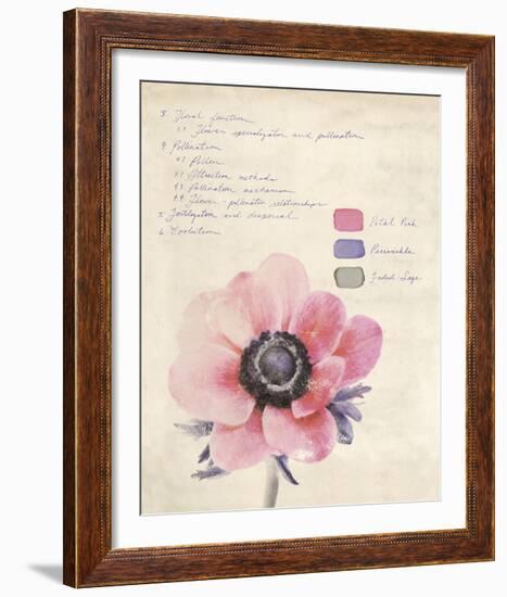 Botanical Study II-Belle Poesia-Framed Giclee Print