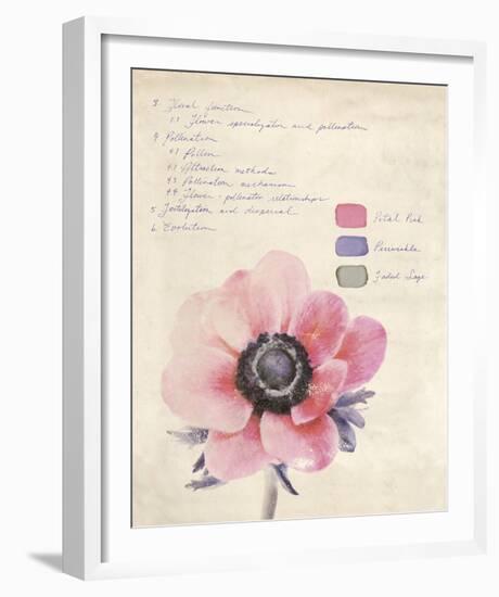 Botanical Study II-Belle Poesia-Framed Giclee Print