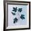 Botanical Study III Blue-Julia Purinton-Framed Art Print