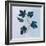 Botanical Study III Blue-Julia Purinton-Framed Art Print