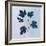 Botanical Study III Blue-Julia Purinton-Framed Art Print