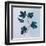 Botanical Study III Blue-Julia Purinton-Framed Art Print