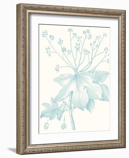 Botanical Study in Spa I-Vision Studio-Framed Art Print