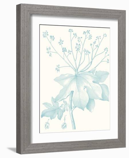 Botanical Study in Spa I-Vision Studio-Framed Art Print