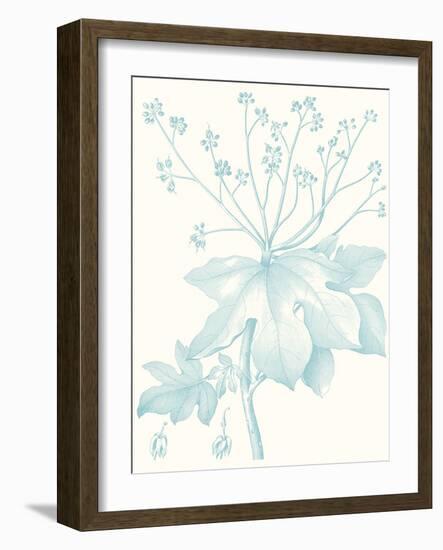 Botanical Study in Spa I-Vision Studio-Framed Art Print