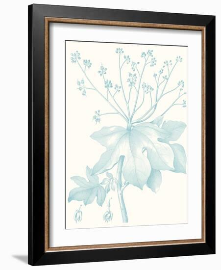 Botanical Study in Spa I-Vision Studio-Framed Art Print