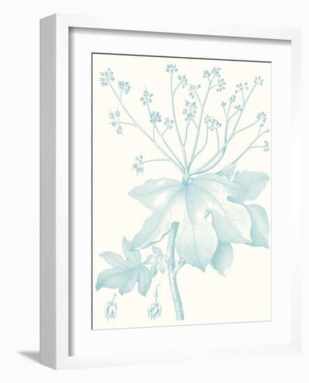 Botanical Study in Spa I-Vision Studio-Framed Art Print