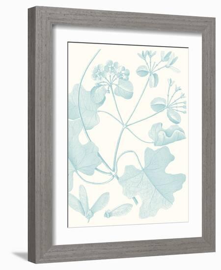 Botanical Study in Spa II-Vision Studio-Framed Art Print